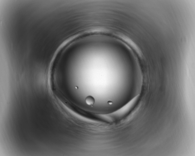 X0000099960983200805231338