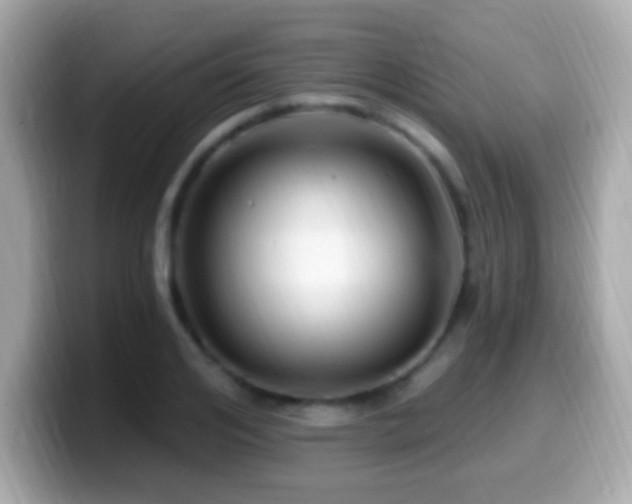 X0000099960984200805231338