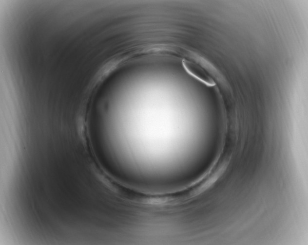 X0000099960985200805231338