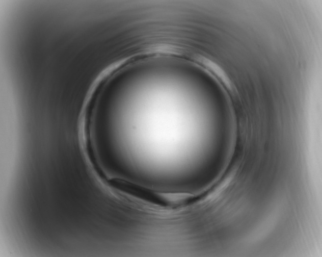 X0000099960987200805231338