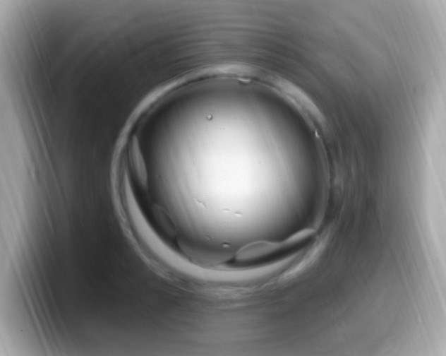 X0000099960989200805231338