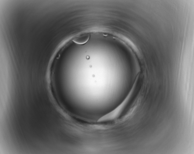 X0000099960990200805231338