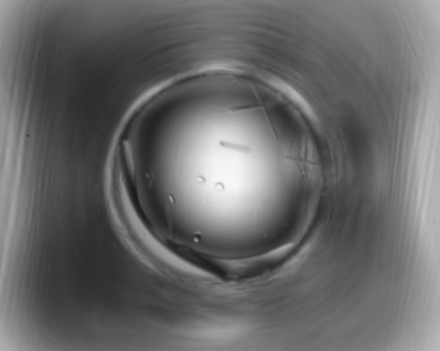 X0000099960991200805231338