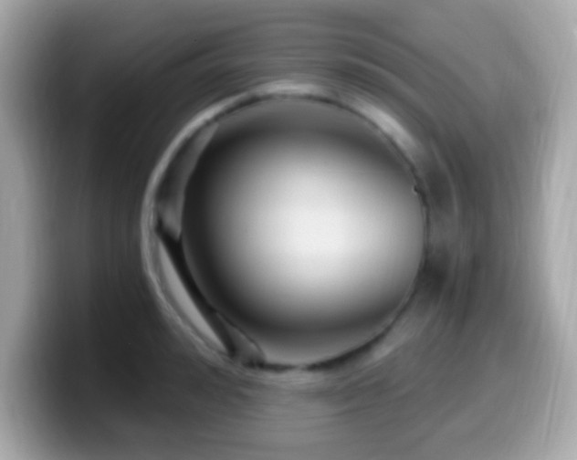 X0000099960992200805231338