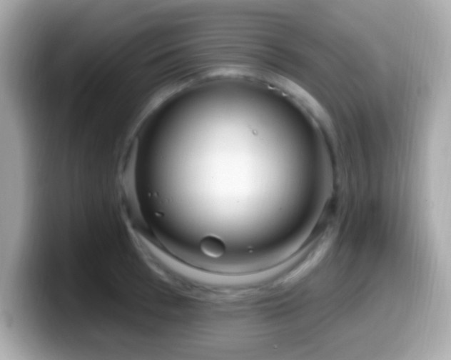 X0000099960993200805231338