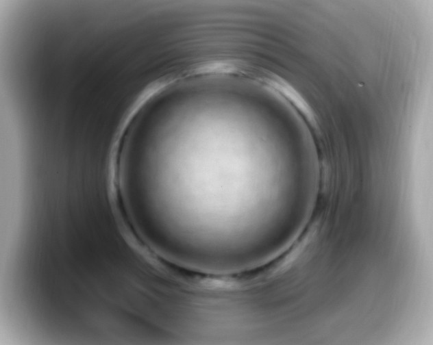 X0000099960994200805231338