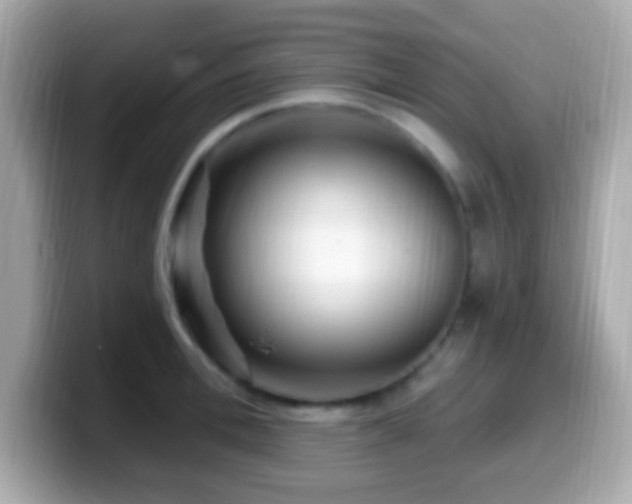 X0000099960996200805231338