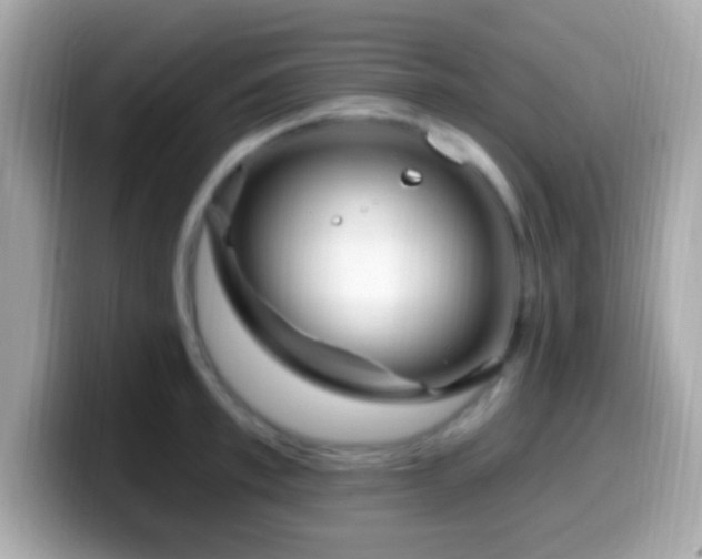 X0000099960997200805231338