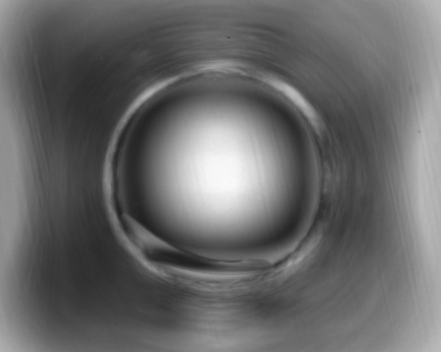 X0000099960999200805231338