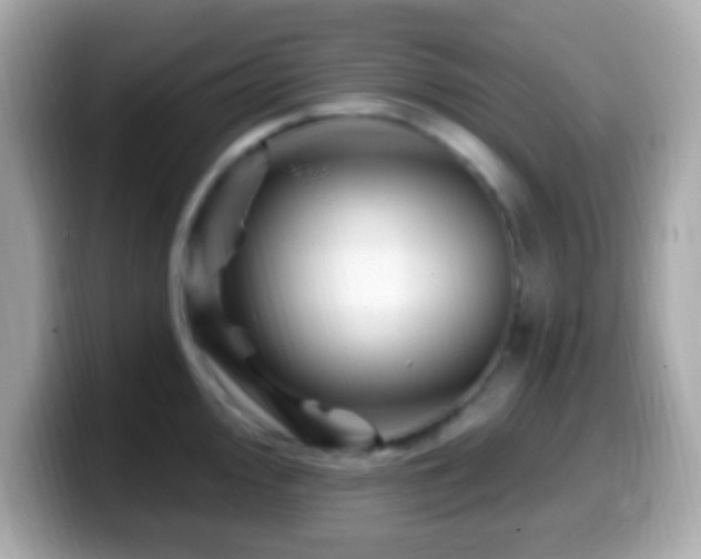 X0000099961000200805231338