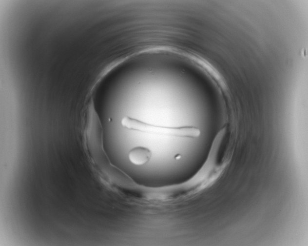 X0000099961001200805231337