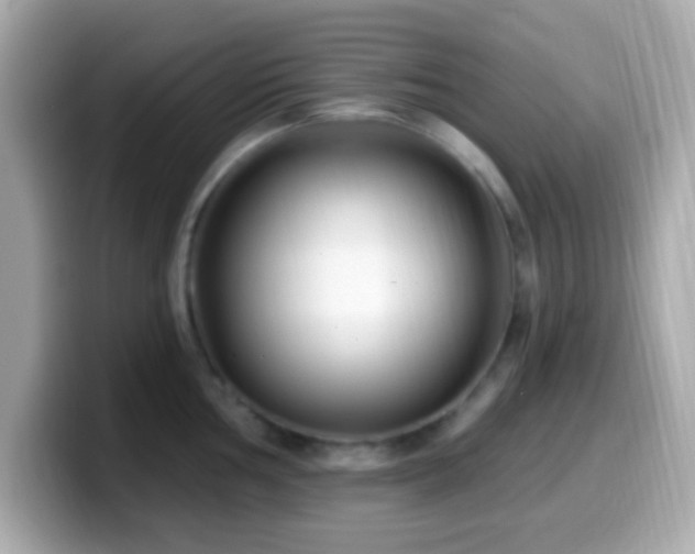 X0000099961002200805231337