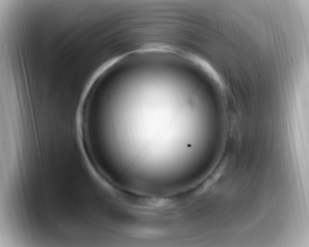 X0000099961003200805231337