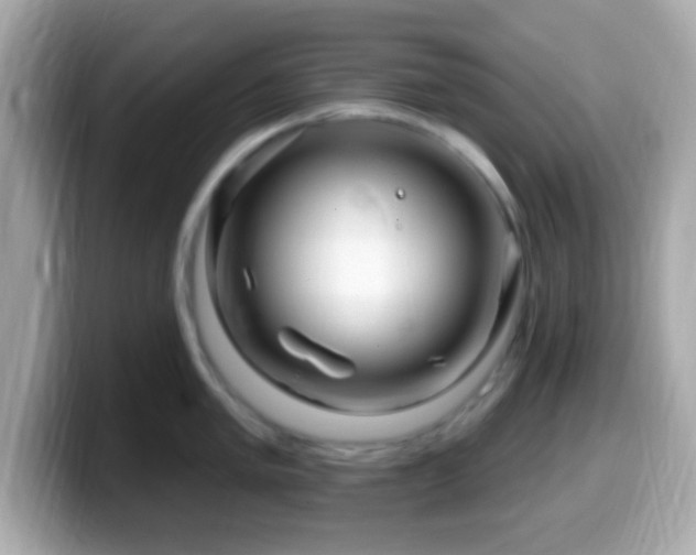 X0000099961005200805231337