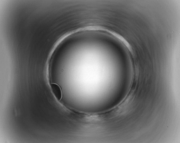 X0000099961006200805231337