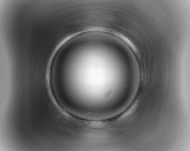 X0000099961007200805231337