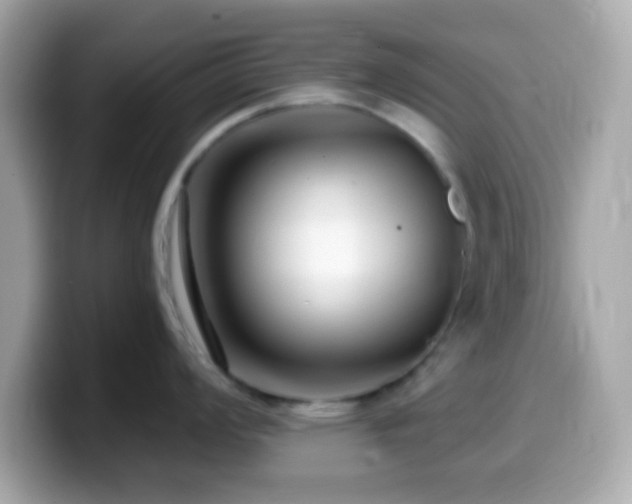 X0000099961008200805231337