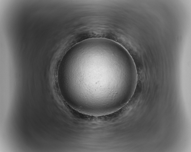 X0000099961009200805231337