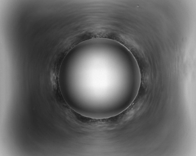 X0000099961010200805231337