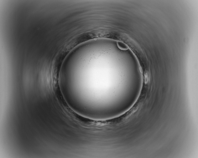 X0000099961011200805231337