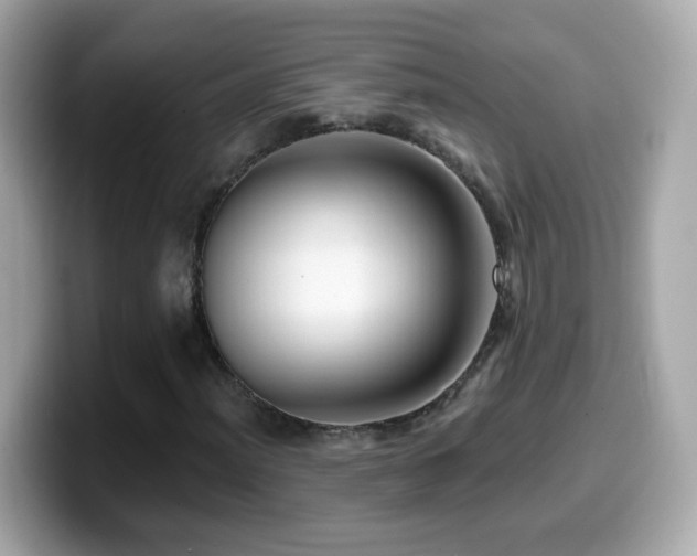 X0000099961012200805231337