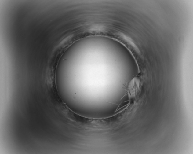 X0000099961015200805231337
