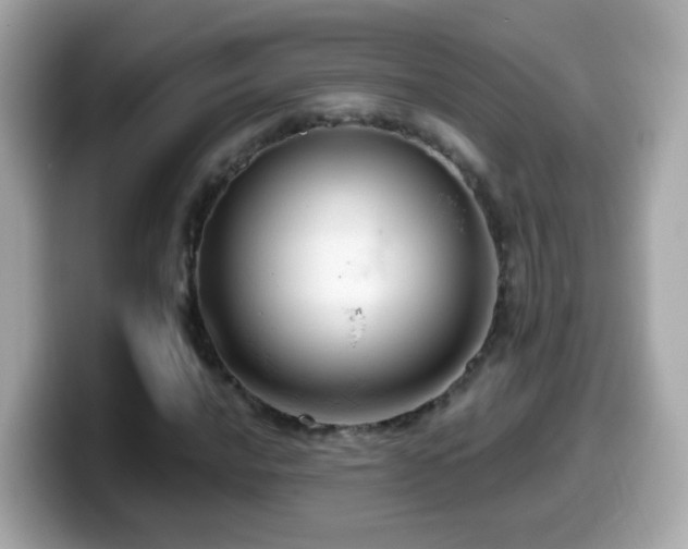 X0000099961016200805231337