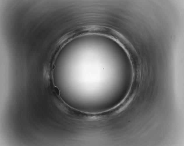X0000099961017200805231337