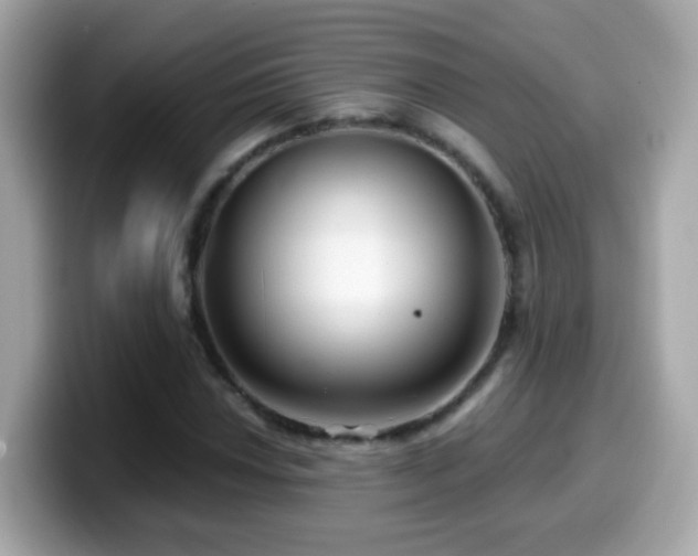 X0000099961018200805231337