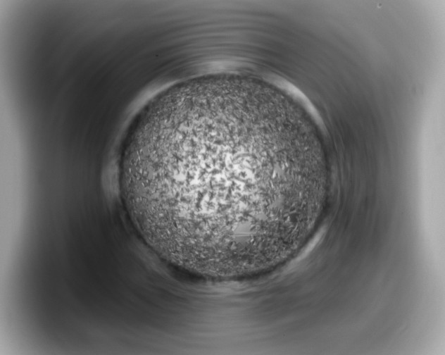 X0000099961019200805231337