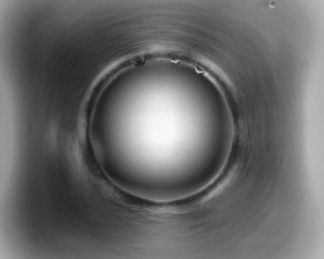 X0000099961021200805231337