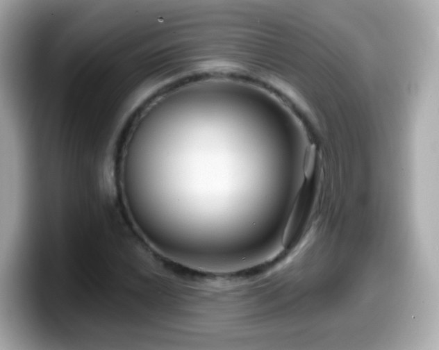 X0000099961022200805231337