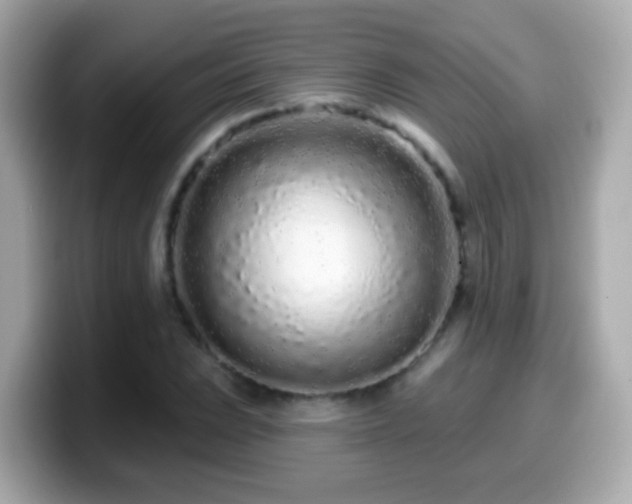 X0000099961023200805231337