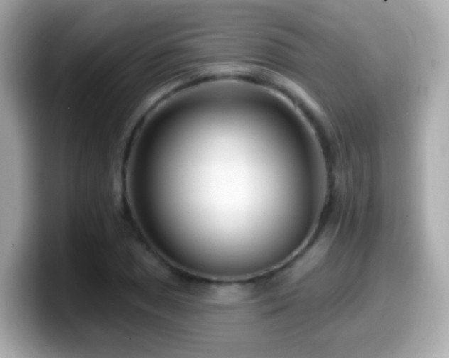 X0000099961025200805231337