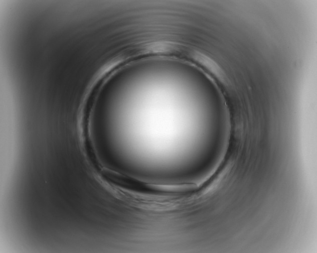 X0000099961026200805231337