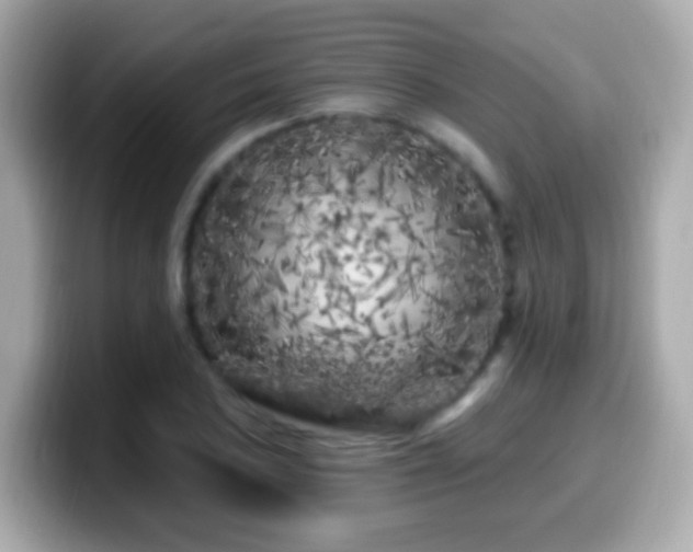 X0000099961027200805231337