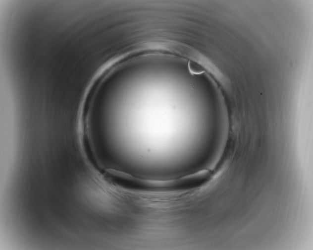 X0000099961028200805231337