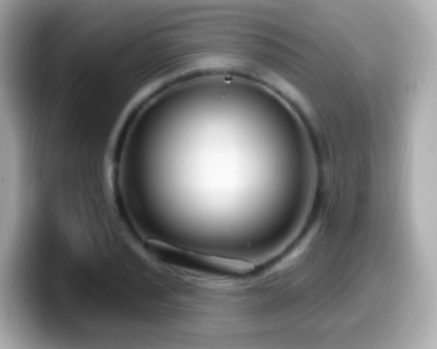 X0000099961029200805231337