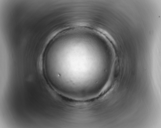 X0000099961031200805231337
