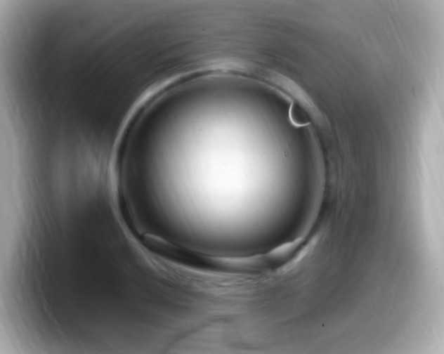 X0000099961032200805231337