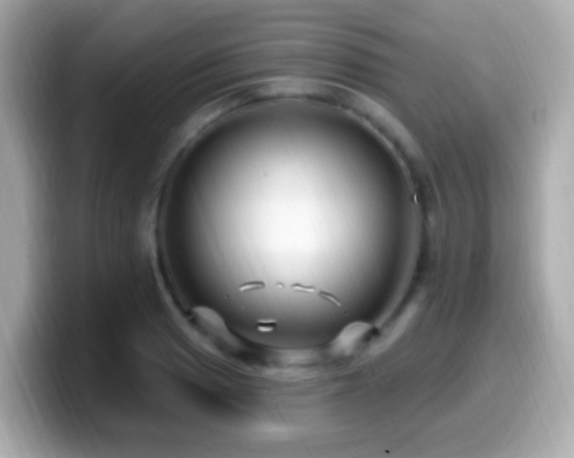X0000099961033200805231337