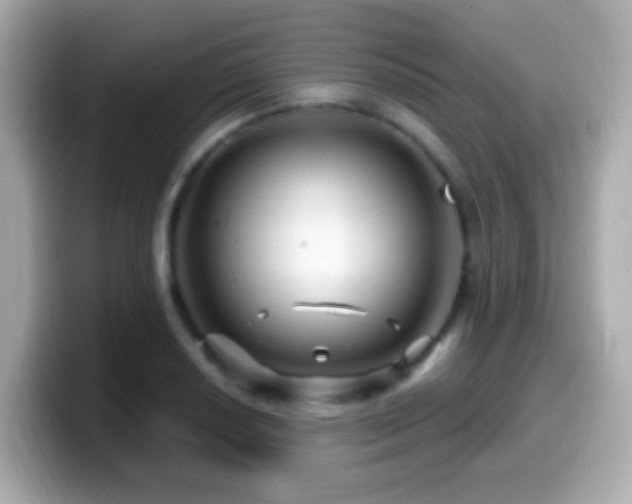 X0000099961034200805231337