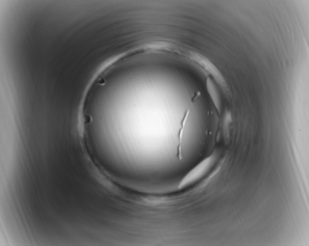 X0000099961036200805231337