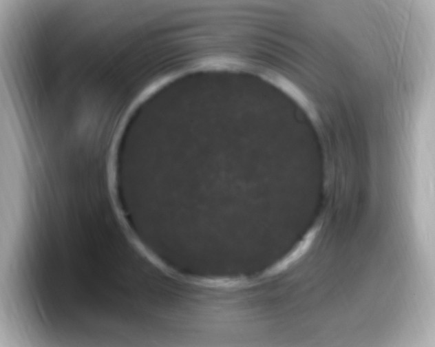 X0000099961037200805231337