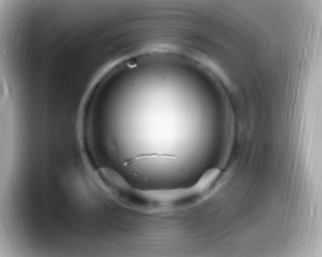 X0000099961038200805231337