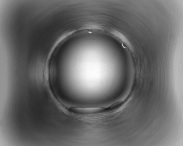 X0000099961040200805231337
