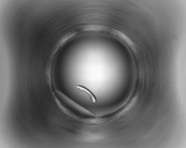 X0000099961041200805231337
