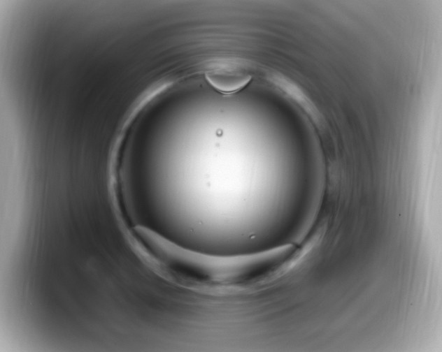 X0000099961042200805231337