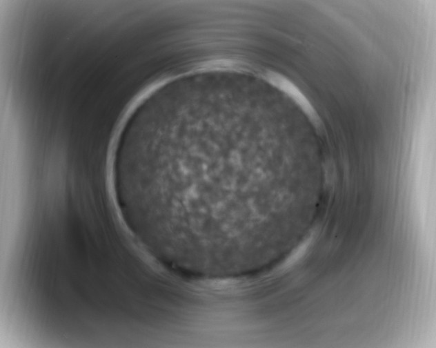 X0000099961043200805231337