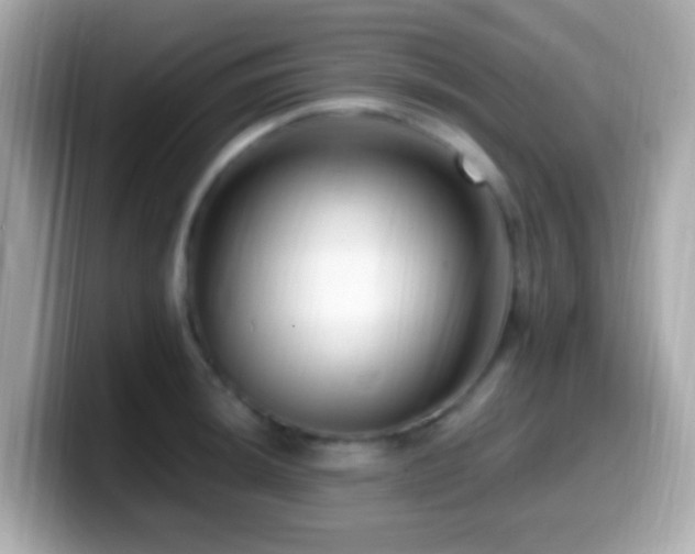 X0000099961044200805231337
